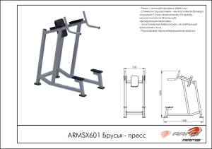 Брусья ARMSX601
