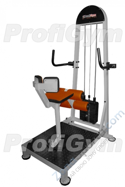 Торс-машина ProfiGym ТГ-0370-С (60 кг)