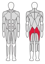 Тренажер для ягодичных мышц (радиальный) Fitex FTX-6221