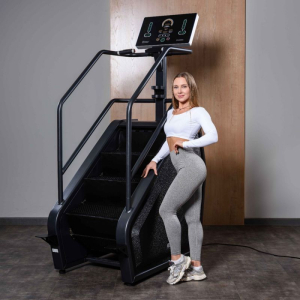 Тренажер-лестница DHZ A4001P